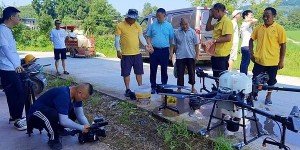 渝米集团喜迎“三八”国际妇女节 胚芽米买一送一