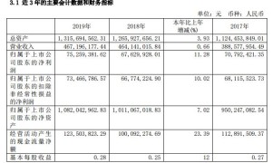 长白山：2019营收4.67亿元 净利润同增11.28%