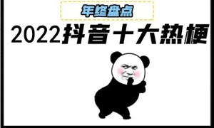 盘点2022网络抖音热词，雪糕刺客、财富流摆渡人为啥那么火！